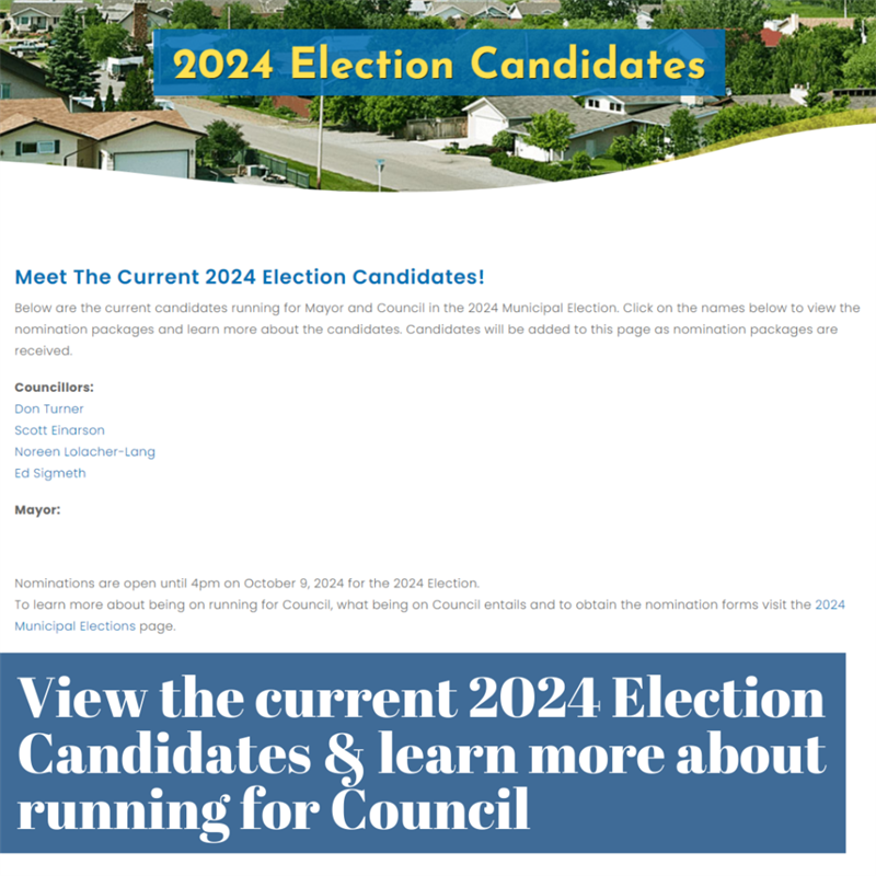2024 Election Candidates