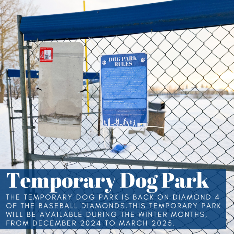 2024 Temporary Dog Park