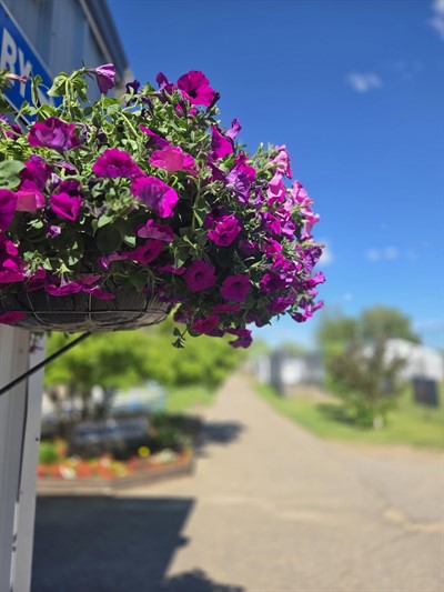 2026_flower_baskets_1
