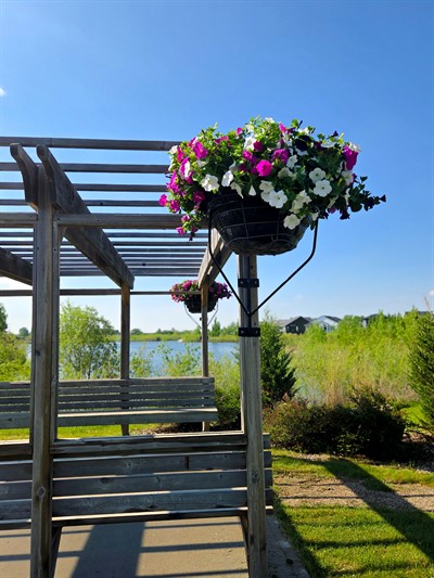 2026_flower_baskets_2