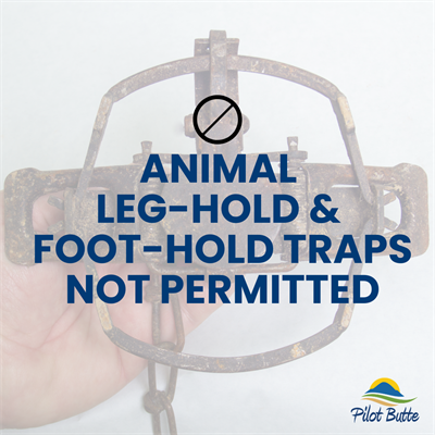 Animal_traps_not_permitted_post_1