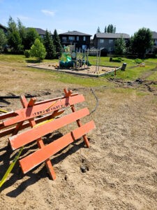 Arbor Park revitalization