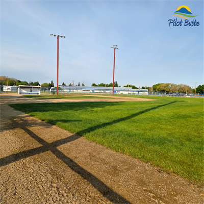 Ball_diamonds_-_not_for_pet_or_personal_recreation_(1080x1080px)_(1)
