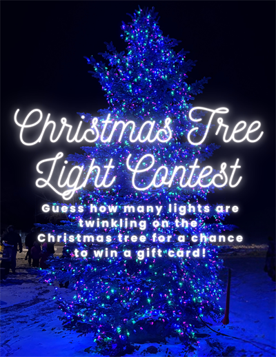 Christmas_Tree_Light_Contest_(2)(1)