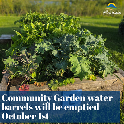 Community_Garden_water_barrels_will_be_emptied_October_1st_(1)