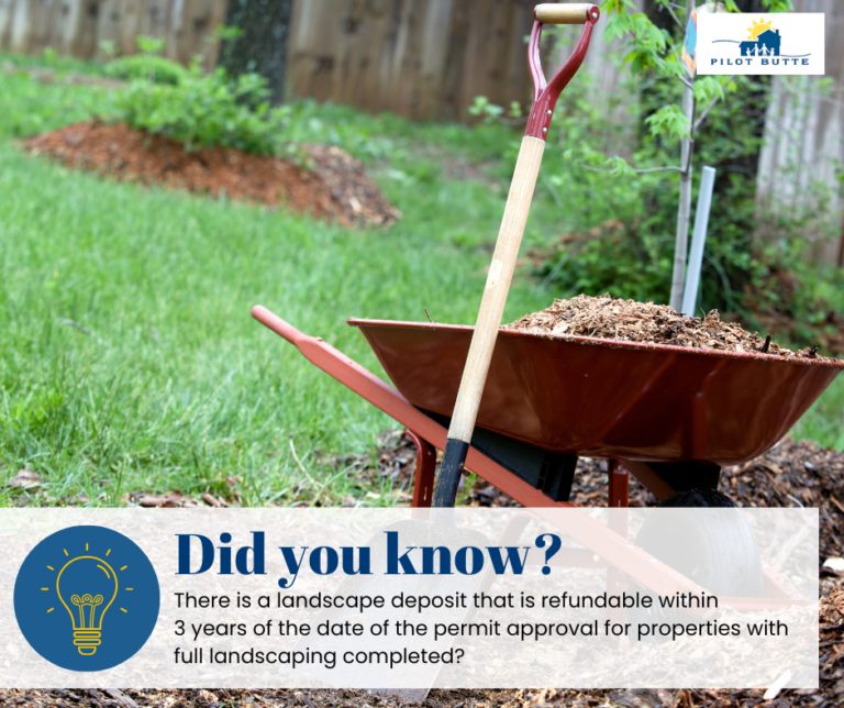Did you know Landscape deposit