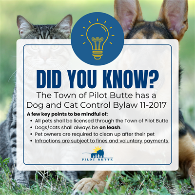 Did_you_know_Bylaw_-_Dog__Cat_Control_Bylaw_11-2017_(1)