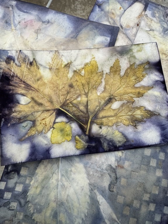 Eco_Printing_on_Watercolour_Paper_-_Nov_24