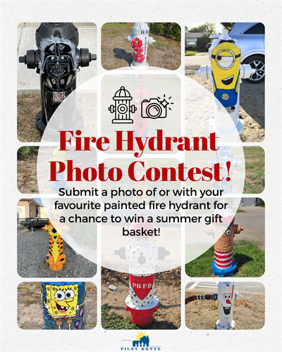 Fire_Hydrant_Photo_Contest_(2)