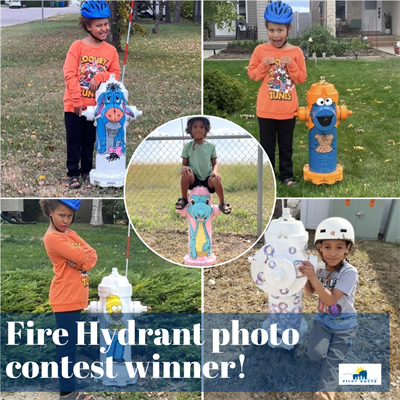 Fire_Hydrant_photo_contest_winner