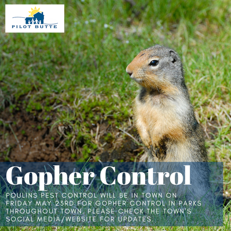 Gopher Control May 23 2025