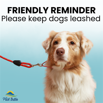 Keep_dogs_leashed_(Facebook_Post_(Square))