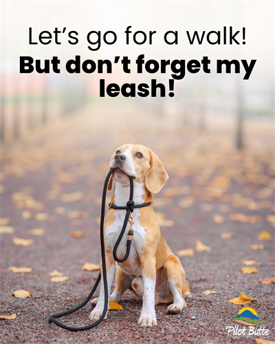 Keep_dogs_leashed