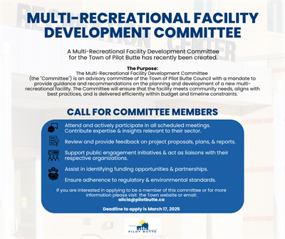 Multi Recreational Facility Development Committee for NV