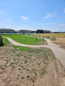 Plains Road & Plains Way Park Improvement
