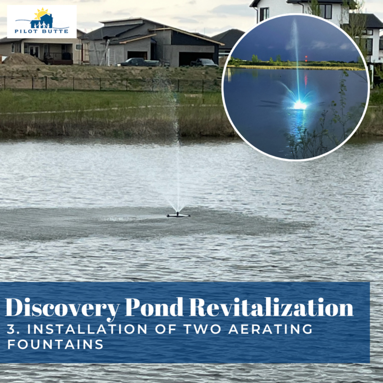 Project Discovery Pond Revitalization