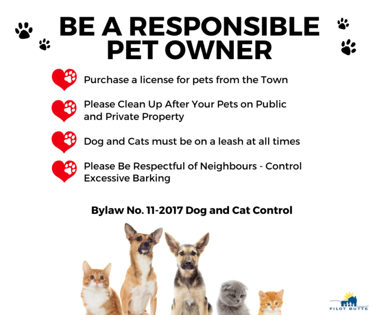Responsible Pet Owner