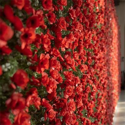 Wall_of_Poppies