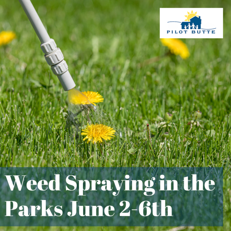 Weed-spraying-2025