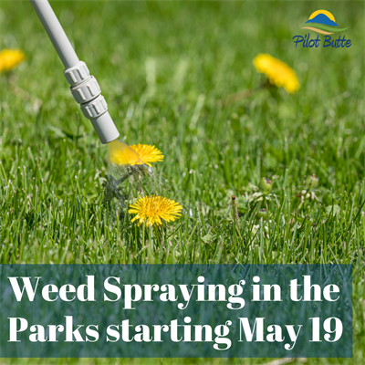 Weed_spraying_2026