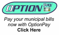 OptionPay